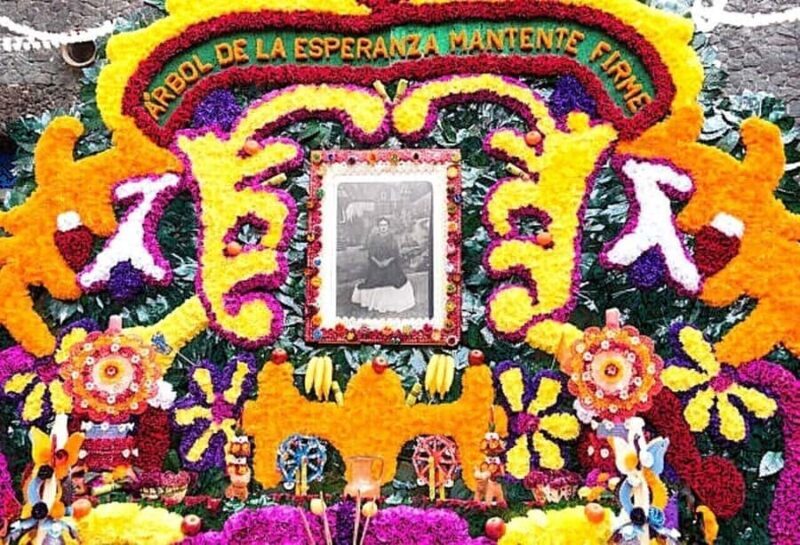 Access to the Frida Kahlo Museum or Casa Kahlo Museum with a Digital Guide - Easy Access and Flexible Timing