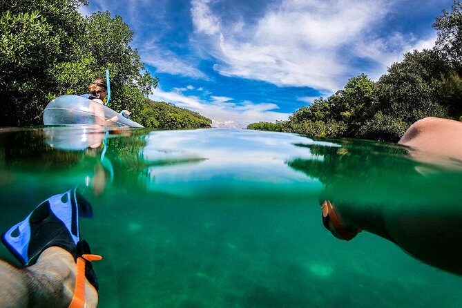 Access to Xel-há park - The Sum Up: Is Xel-Há Worth It?