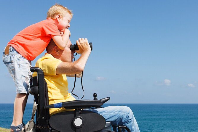 Accessible Tour In Athens, 3 Hours Athens Panorama Shore Excursion - What Makes This Tour Stand Out?