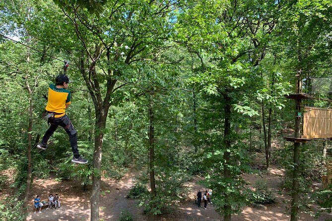Accrobranches course in the middle of the forest in Saint-Germain-en-Laye - Who Will Love This Experience?