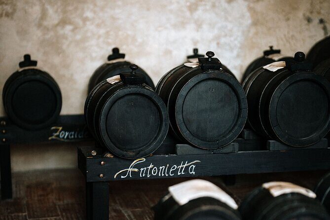 Acetaia Classica - Balsamic Vinegar Factory Tour & Tasting - Authentic Insights from Reviewers