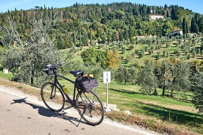 Active Full Day Tuscan Bike Tour With Wine Tasting and Lunch - The Scenic Route on the Chianti Roads