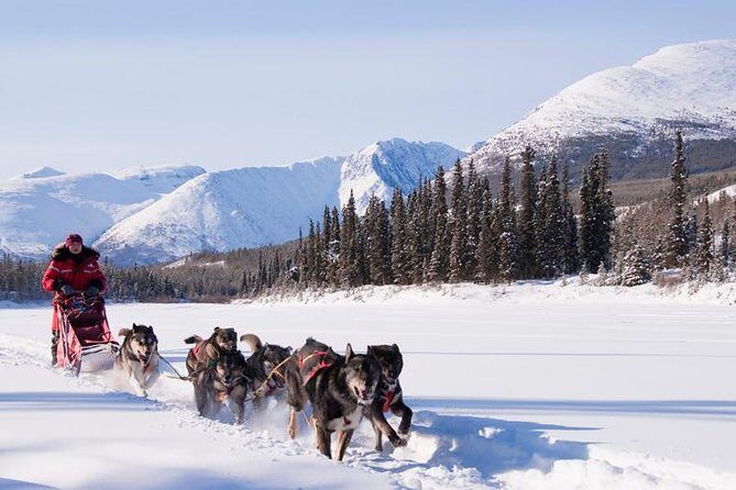 Active Winter Adventure in Yukon | 5 days - Why This Tour Works Well