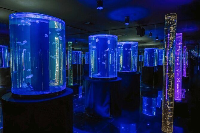 Acuario Sealand Guadalajara Admission Ticket - The Sum Up