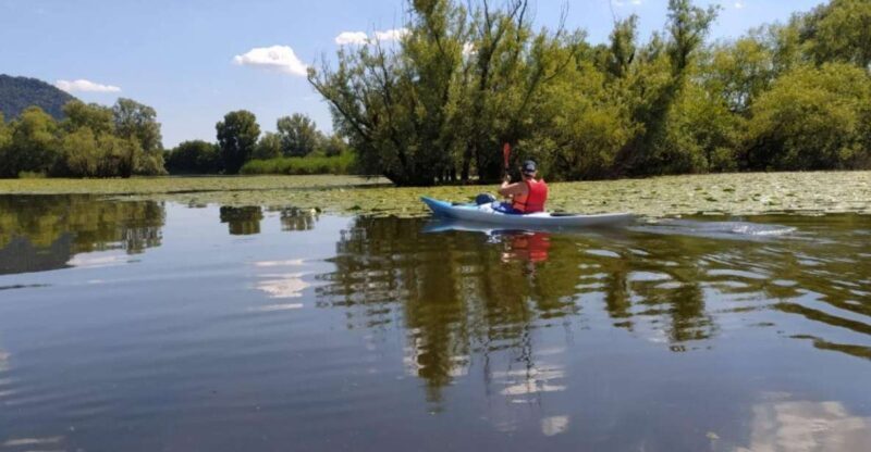 Adda River: Half day Kayak Trip - Why Choose the Adda River Kayak Trip?