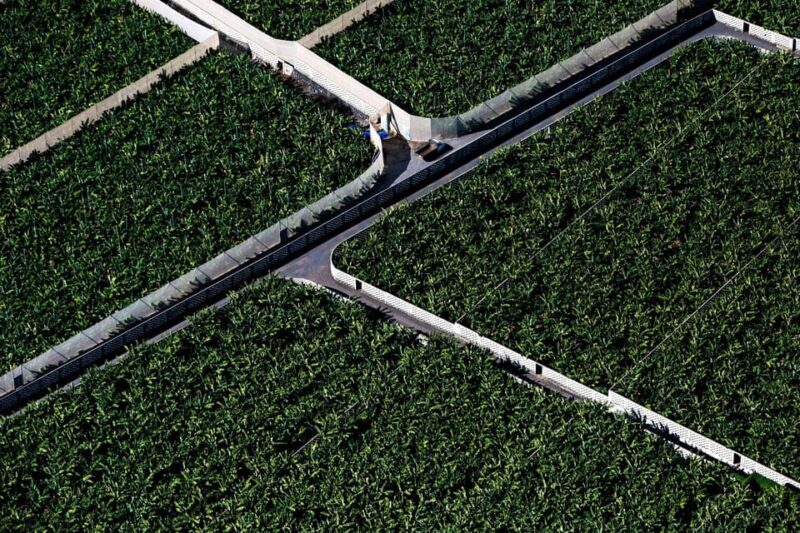 Adeje: Scenic Tenerife Helicopter Flight - FAQ