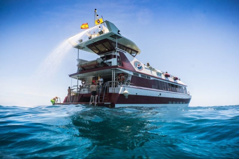 Adeje: Whale and Dolphin Watching Cruise with Lunch and Swim - FAQ