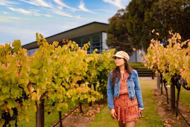 Adelaide: Barossa and Adelaide Hills Tour with Lunch - FAQ