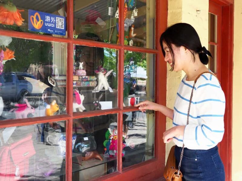 Adelaide: City, Adelaide Hills Villages, and Hahndorf Tour - Who Should Consider This Tour?