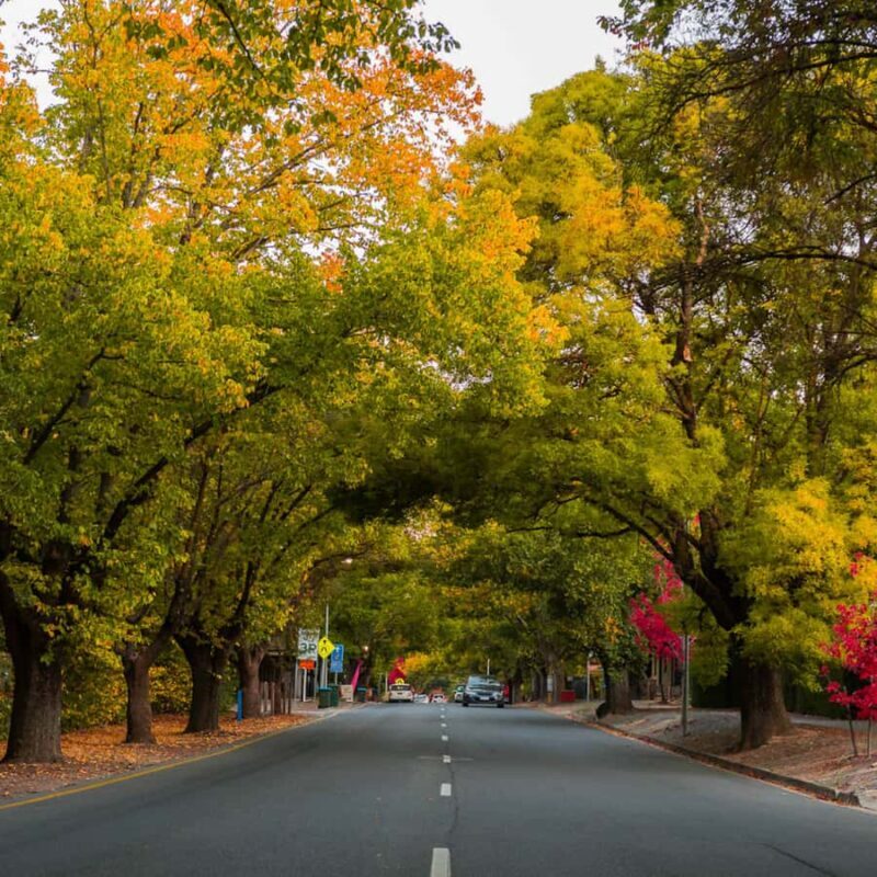 Adelaide: City Highlights and Hahndorf Tour with Pickup - Exploring the Itinerary in Detail