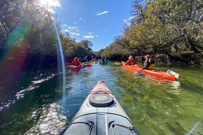 Adelaide City Kayak Tour - Practical Considerations