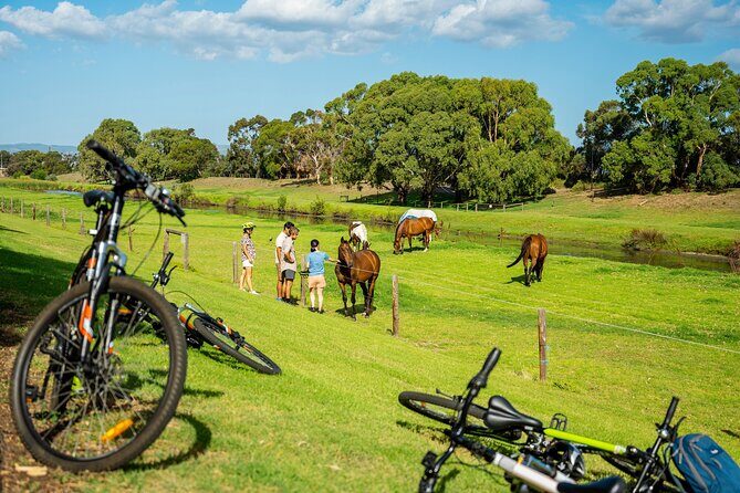 Adelaide City to Sea Bike Tour - The Sum Up: Who Will Love This Tour?