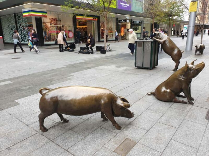 Adelaide: City Walking Tour with Guide - The Sum Up: A Well-Rounded Introduction to Adelaide