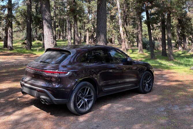 Adelaide Couples Tour: Penfolds(World #2) Visit Hahndorf & Lunch - FAQ