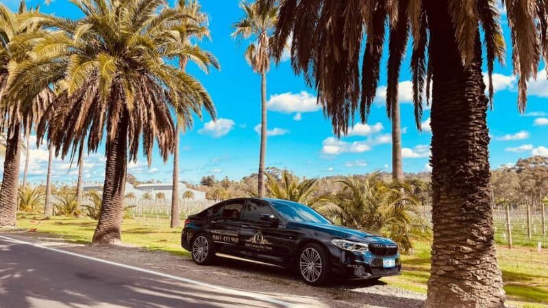 Adelaide Cruise Ship Tours - Exploring Adelaide Cruise Ship Tours: What You Can Expect