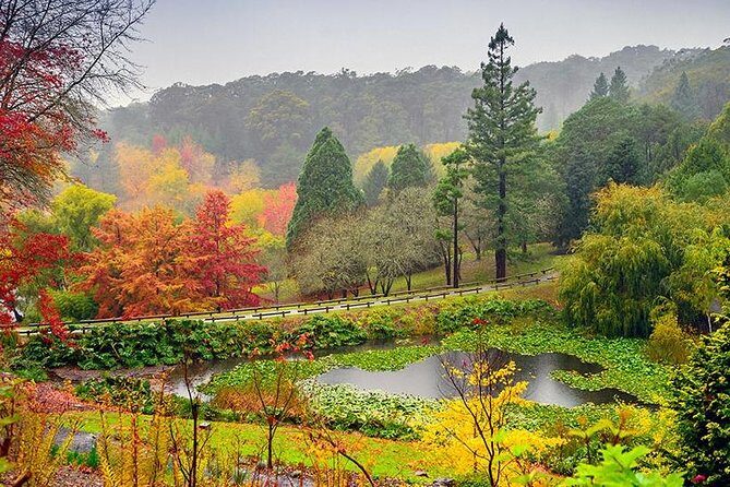 Adelaide Cruise Ship Tours to Hahndorf & Hills Wildlife Wonders - Final Thoughts