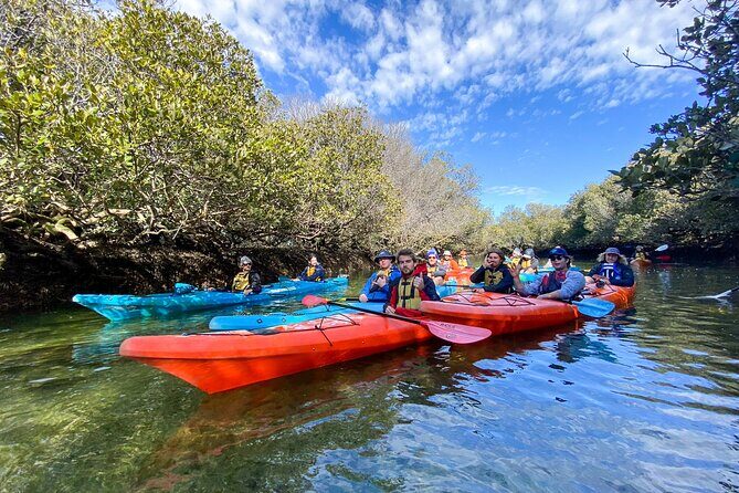 Adelaide Dolphin Sanctuary and Ships Graveyard Kayak Tour - Starting Point and Logistics