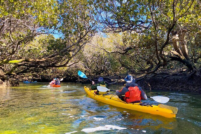 Adelaide Dolphin Sanctuary and Ships Graveyard Kayak Tour - The Experience’s Environmental Impact