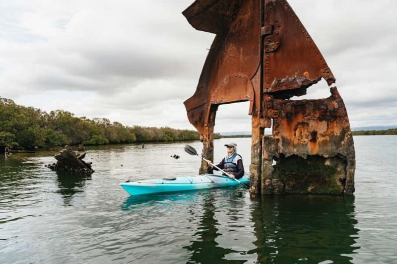Adelaide: Dolphin Sanctuary Eco Kayaking Tour - FAQ