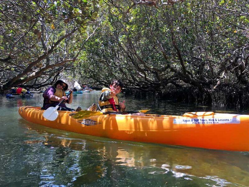 Adelaide: Dolphin Sanctuary Single or Double Kayak Rental - What should you be aware of?