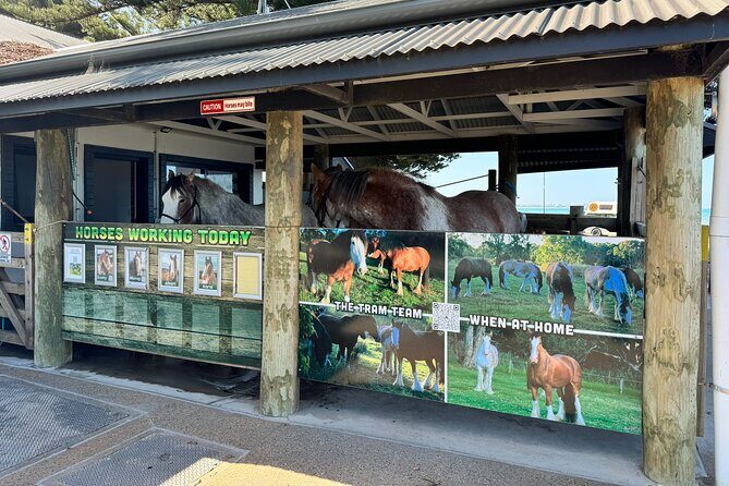 Adelaide "Firsts" Walking Tour - From Grid Plans to Great Wine - FAQ