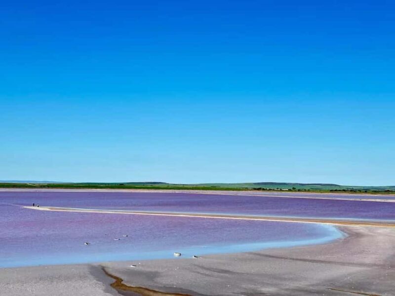 Adelaide Highlights: Wine, Whispering Wall & Pink Lake Tour - Who Will Love This Tour?