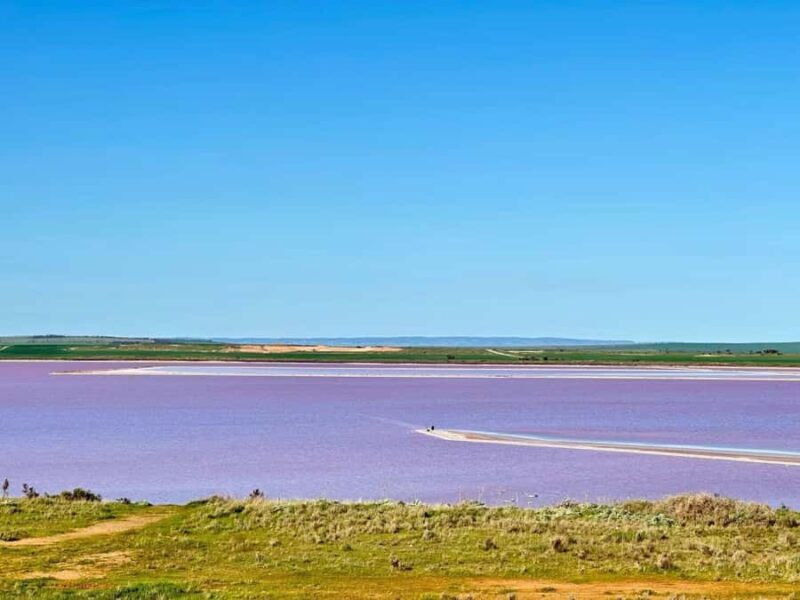 Adelaide Highlights: Wine, Whispering Wall & Pink Lake Tour - Who Should Consider This Tour?