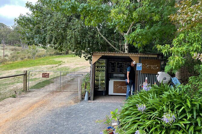 Adelaide Hills and Hahndorf - Half Day Private Scenic Tour - What You Should Know Before Booking
