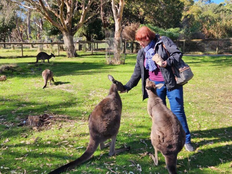 Adelaide Hills Cleland Wildlife & Hahndorf Premium Day Tour - Practical Details and Value