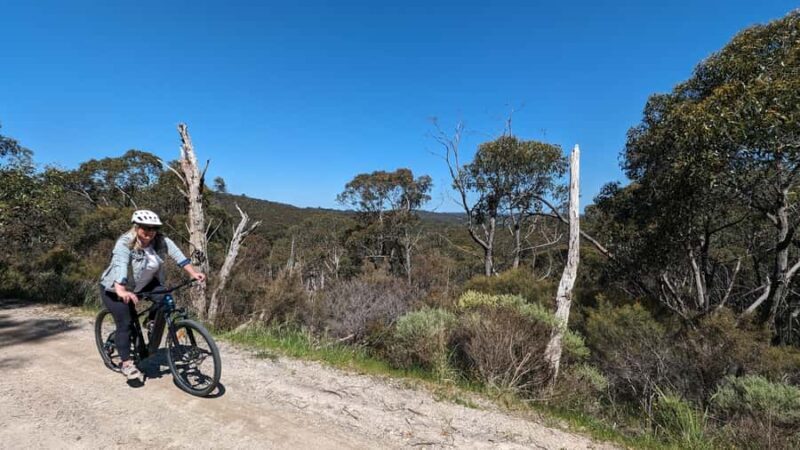 Adelaide Hills: E-Bike Self-Guided Tour with Coffee and Cake - The Authentic Charm of the Adelaide Hills