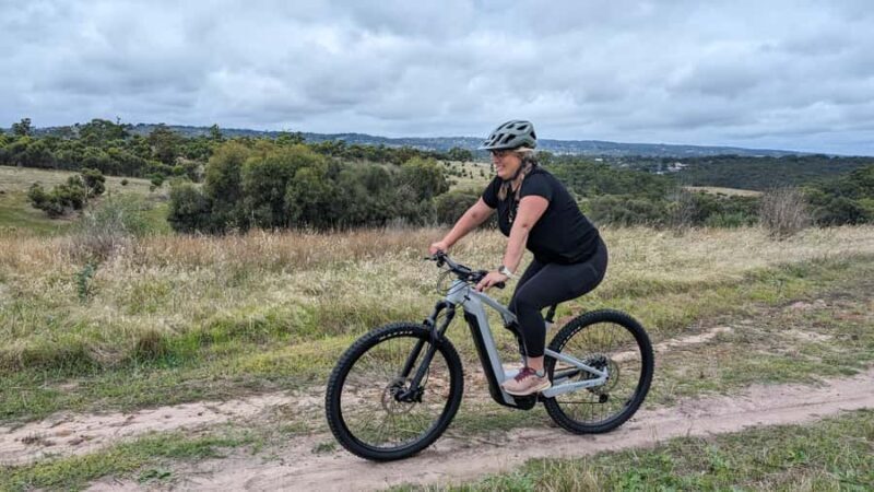 Adelaide Hills: E-Bike Self-Guided Tour with Coffee and Cake - Who Is This Tour Best For?