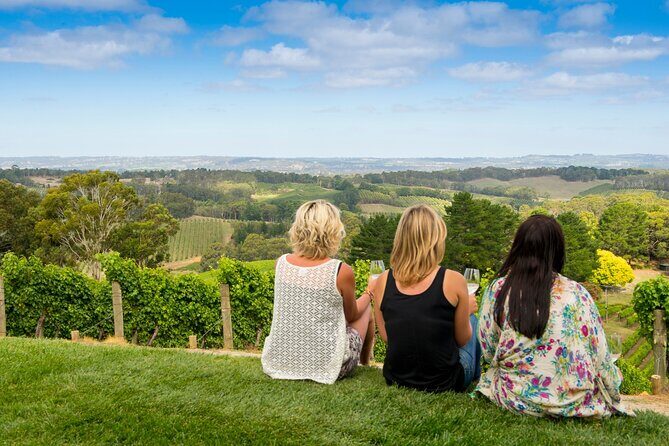 Adelaide Hills Luxury Wine Tour - Private Day Tour - Key Points