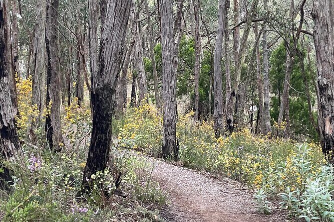Adelaide Hills Nature Highlights Self-Guided e-Bike Tour - The Highlights of Your Ride