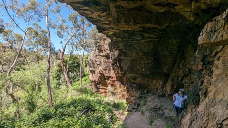 Adelaide Hills: Self-guided E-Bike wine tour with Lunch - Frequently Asked Questions