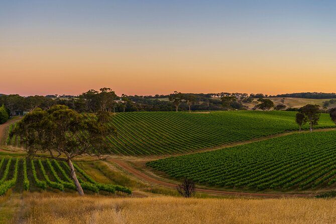 Adelaide Hills Wine Tour - Who Will Love This Tour?
