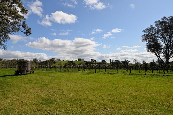 Adelaide Japanese Group Winery Day Tour in Barossa and Hahndorf - An In-Depth Look at the Tour Experience
