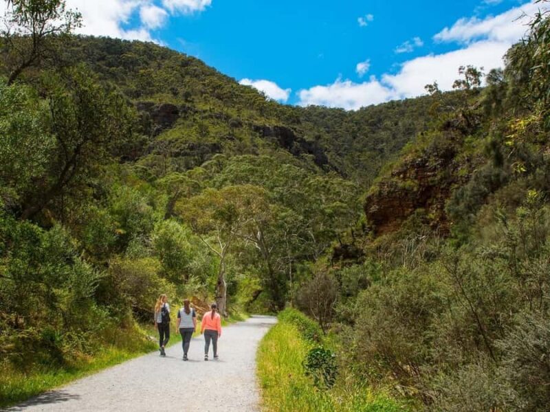 Adelaide: Morialta Wilderness and Wildlife Hike - Key Points