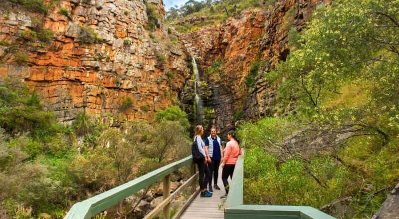 Adelaide: Morialta Wilderness and Wildlife Hike - Practical Details and Value