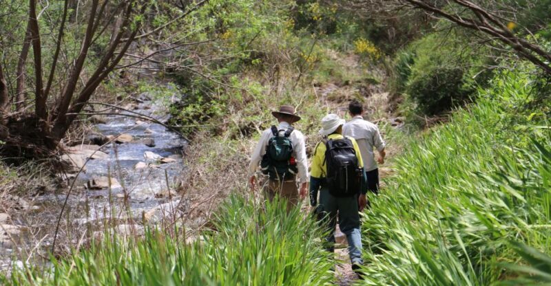 Adelaide: Morialta Wilderness and Wildlife Hike - Why You Should Consider This Tour