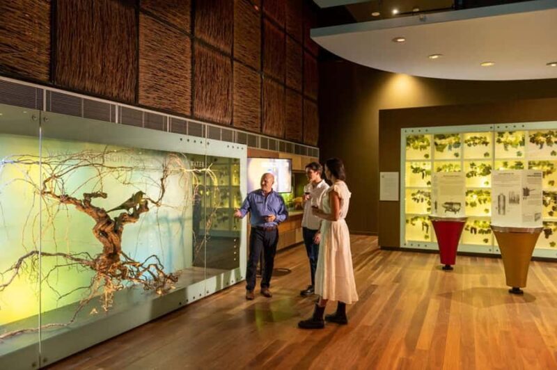 Adelaide: National Wine Centre Wine Discovery Journey - Key Points