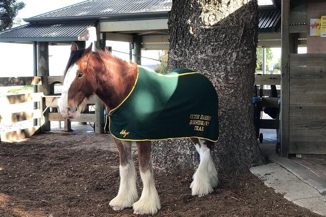 Adelaide: Private Boutique Wine Tasting & Sightseeing Tour - The Value of a Private, Custom Tour