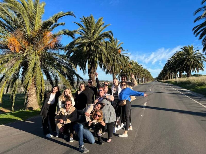 Adelaide: South Australia Guided Full-Day Highlights Tour - Key Points