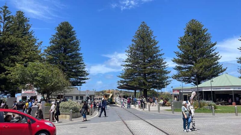 Adelaide: South Australia Guided Full-Day Highlights Tour - Practical Details: Transport, Timing, and Value