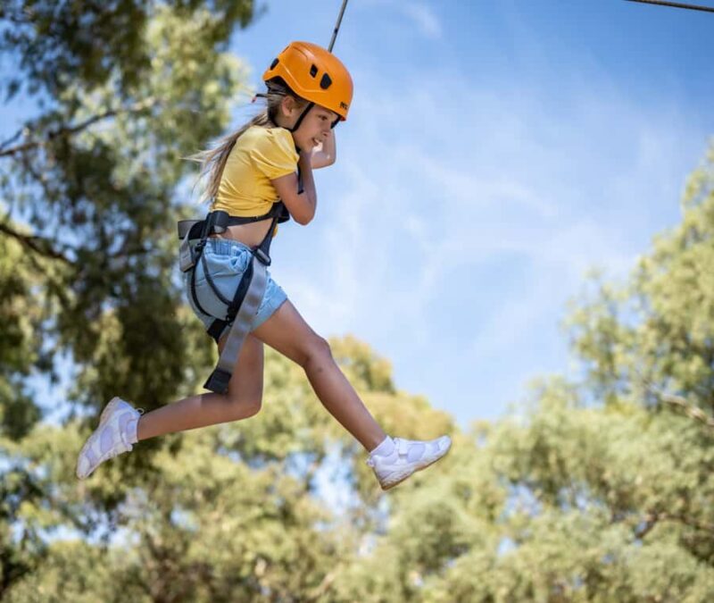 Adelaide: TreeClimb Adelaide Climb For Little Adventurers - Key Points