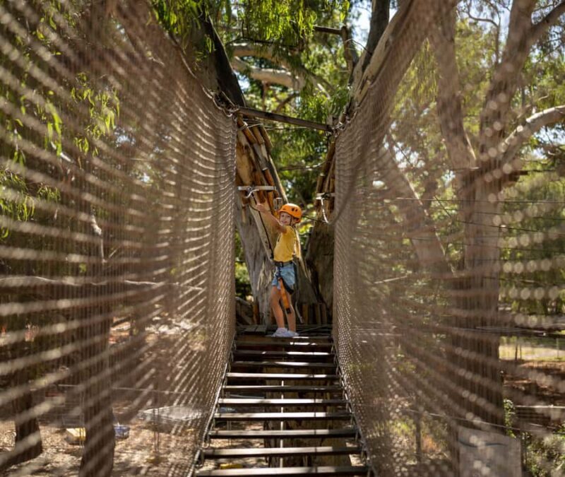 Adelaide: TreeClimb Adelaide Climb For Little Adventurers - An In-Depth Look at Adelaide’s TreeClimb for Little Adventurers