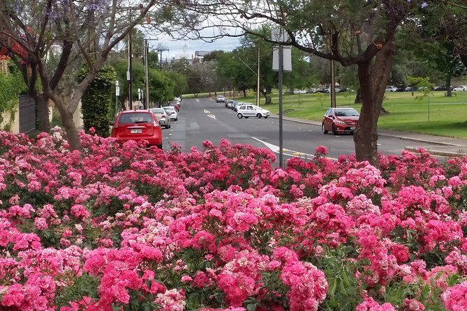 Adelaide Walking Tour: Hills, Squares and Parklands - Final Thoughts