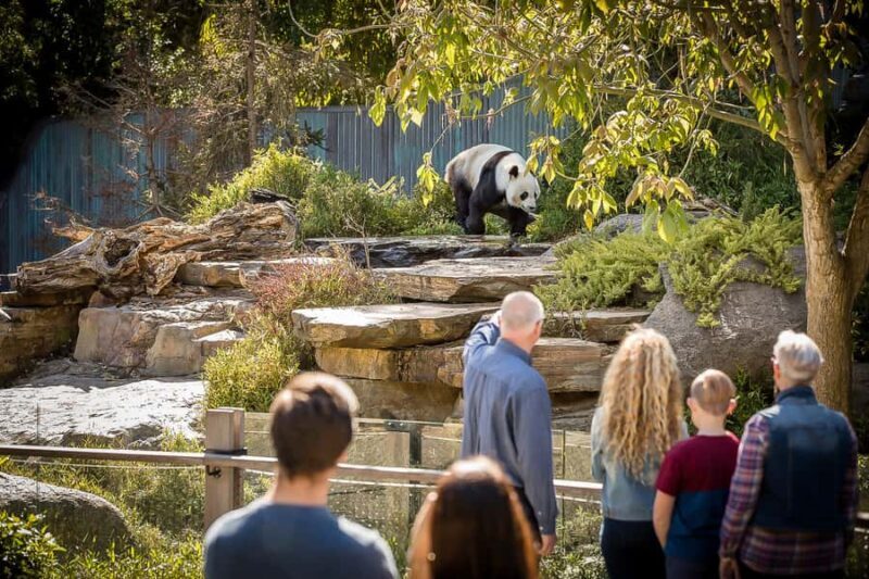 Adelaide Zoo: General Admission Tickets - Key Points