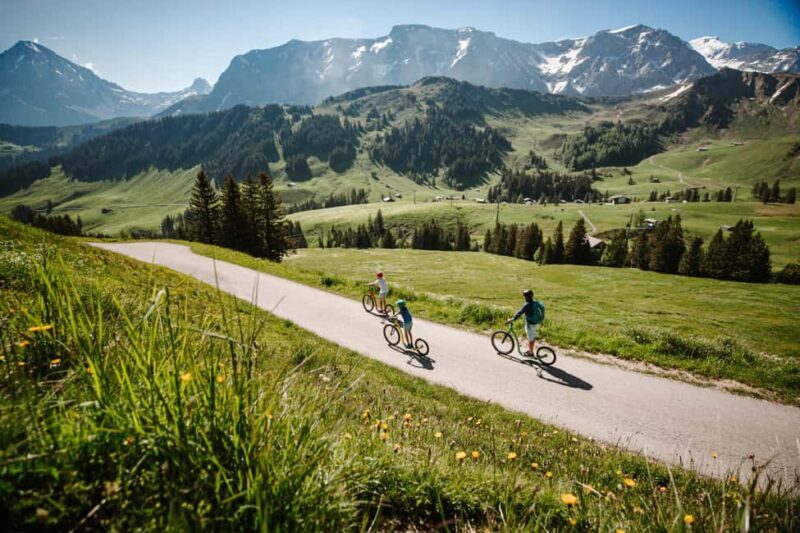 Adelboden: Worlds Largest Scooterland Adventure - What Is the Adelboden Scooterland Adventure?