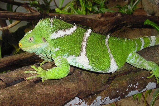 Admission + 2x Zip Line + Unlimited Water Slide Rides - Final Thoughts