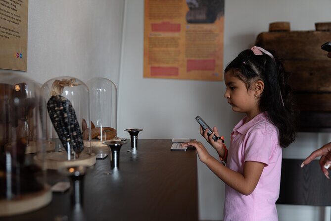 Admission and Chocolate Tasting at Choco Story Zócalo in CDMX - Who Will Love This Experience?